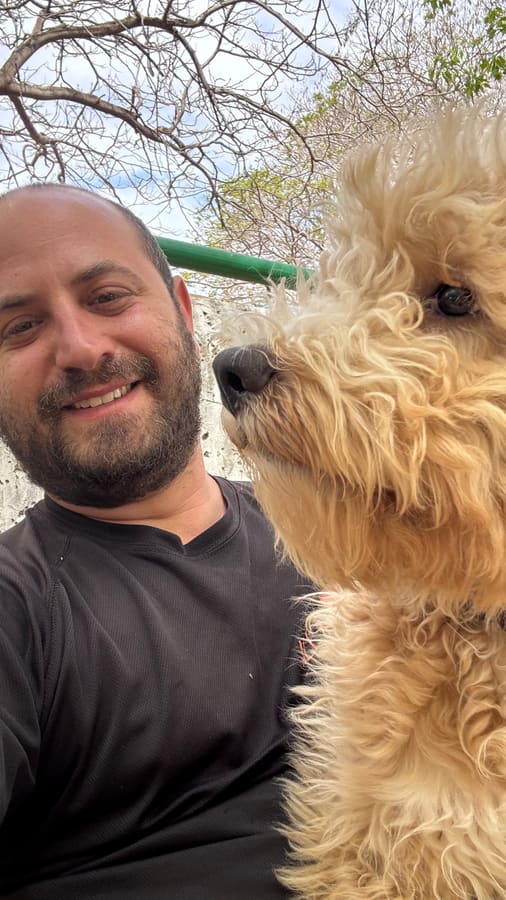 בעלים עם כלב פודל אחרי תהליך