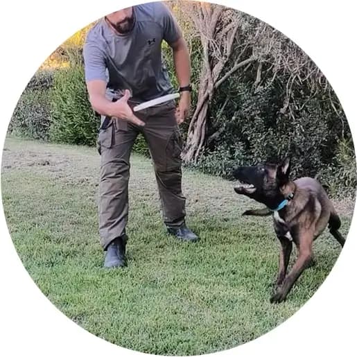 אריאל אורמן